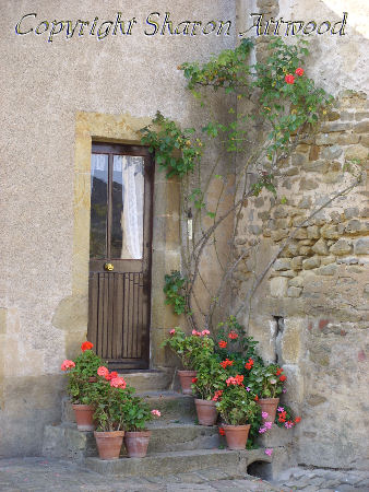 Flowers on doorstep in Levroux, France