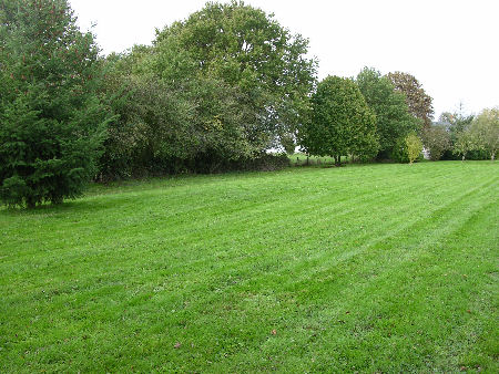 Our terroir looking back toward the house